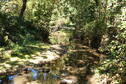 Creek Photo 3