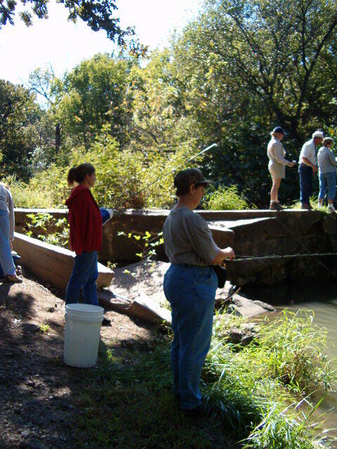 Intro to Fishing Photo 4