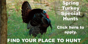 Spring Special Hunts Application