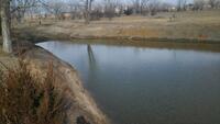 Hays Vineyard Park Pond 1