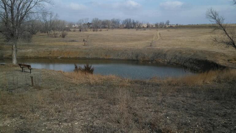 Hays Vineyard Park Pond 2