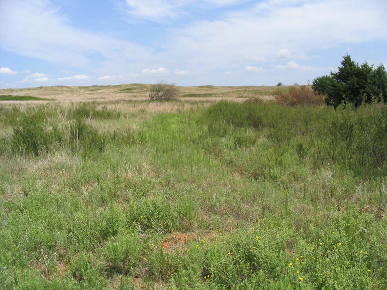 Byron Walker Grasslands