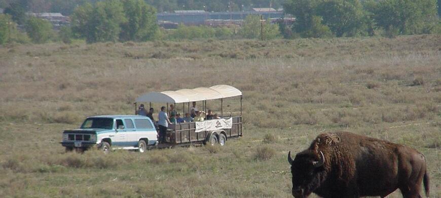 Friends of Sandsage Bison Range Tour