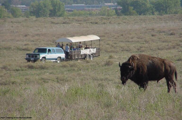 Friends of Sandsage Bison Range Tour