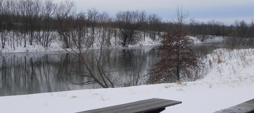 Mined land cabin view