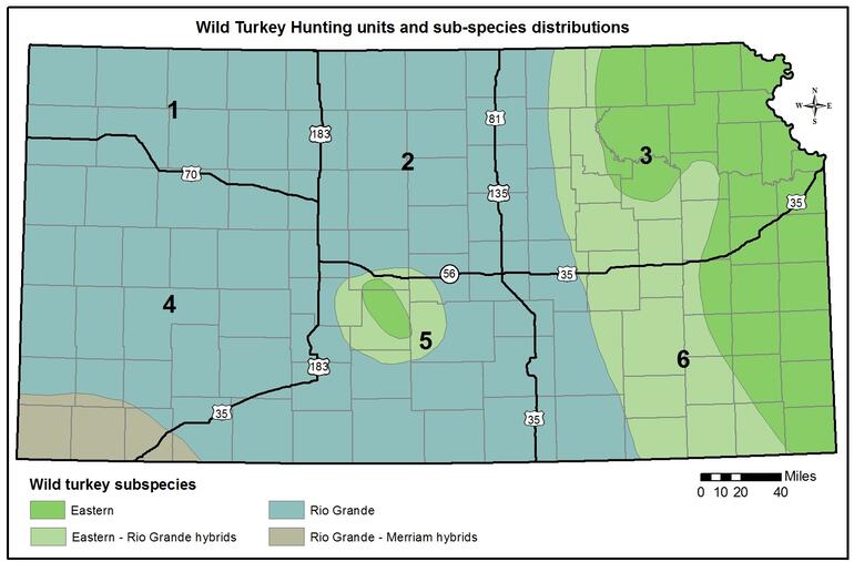 2012 Turkey Subspecies Distribution and Units 