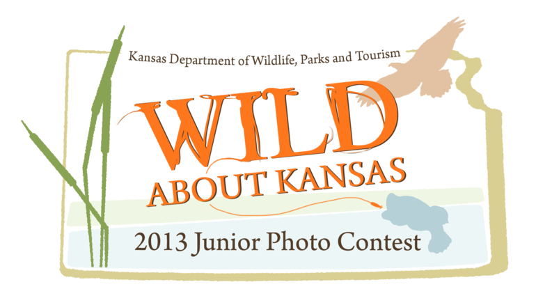 Photo Contest Logo