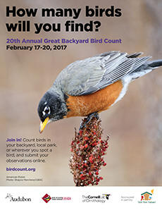 Kansas Winter Bird Feeder Survey