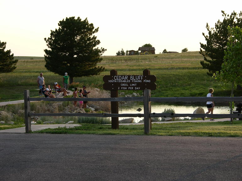 Youth/Disabled Pond