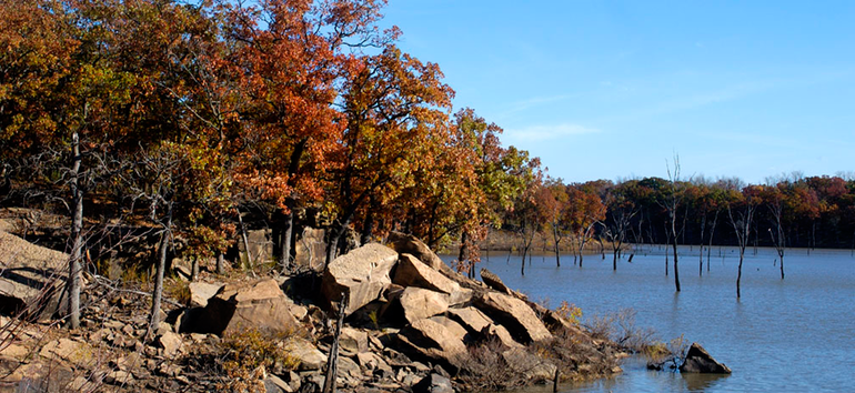 Cross Timbers Fall Scene