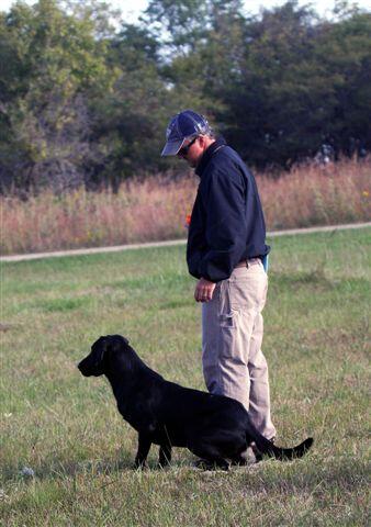 Field Trial