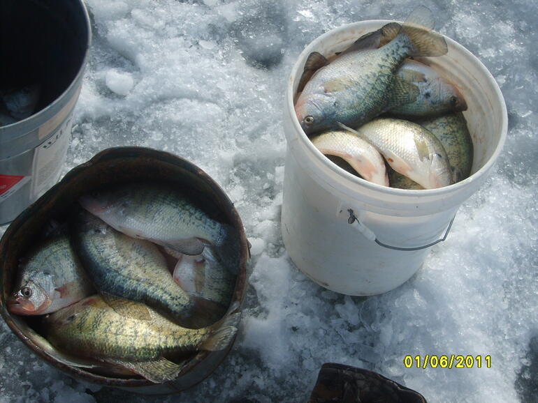 Buckets of Crappie