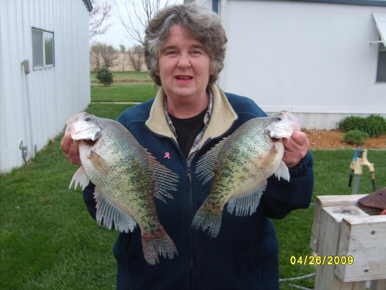 Crappie picture