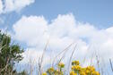 Summer Day at Kanopolis State Park