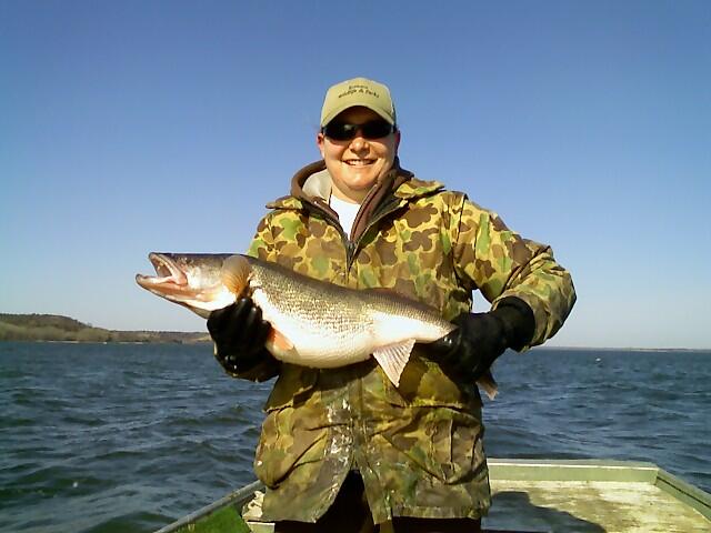 Lovewell Walleye