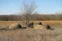 Rocks South of the entrance road