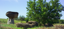 Mushroom-Rock-State-Park-View