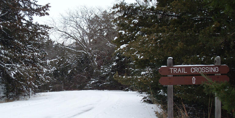 Winter Fancy Creek