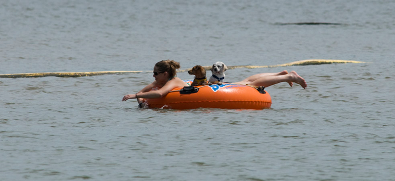 Tuttle-Creek-State-Park-Dogs-in-Tube