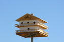 Purple Martin House close-up