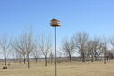 Purple Martin House