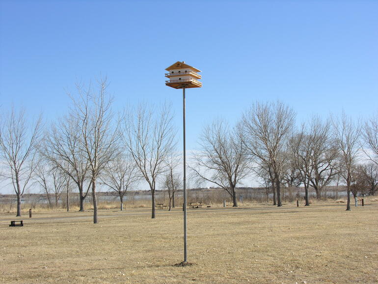 Purple Martin House